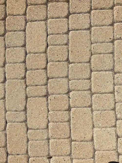 Textured background of pavement on street on sunny day