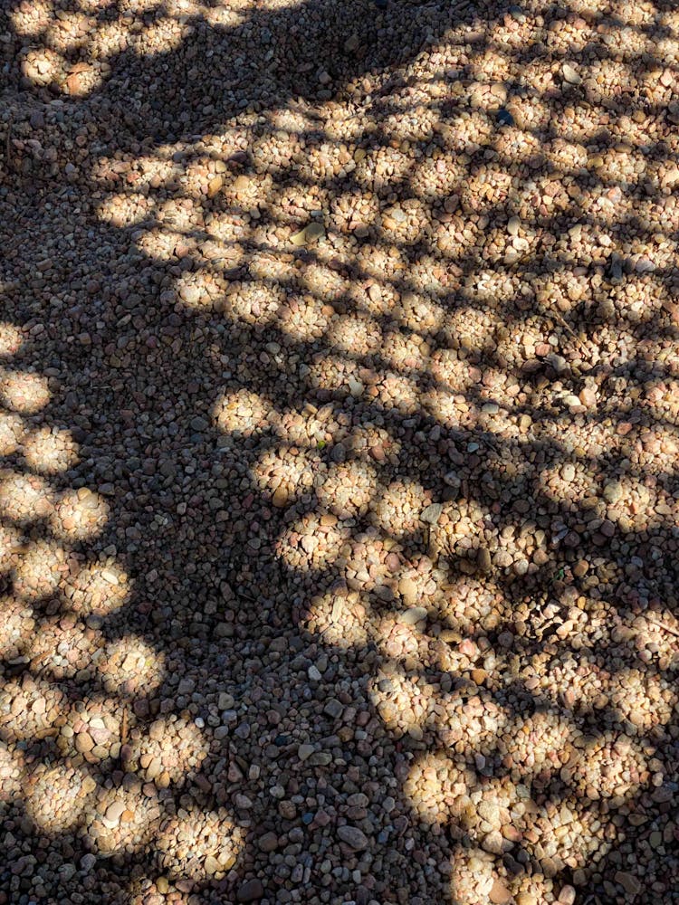 Shadow Of Chain Link Fence On Pebbled Ground