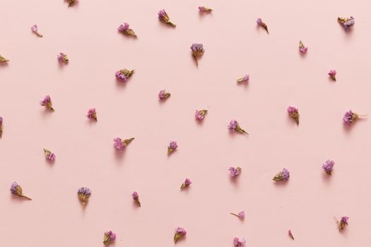 Minimalist arrangement of small pink flowers on a pastel pink background