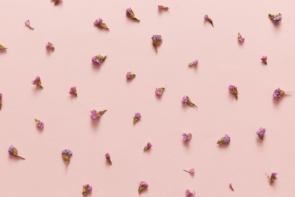 Minimalist arrangement of small pink flowers on a pastel pink background