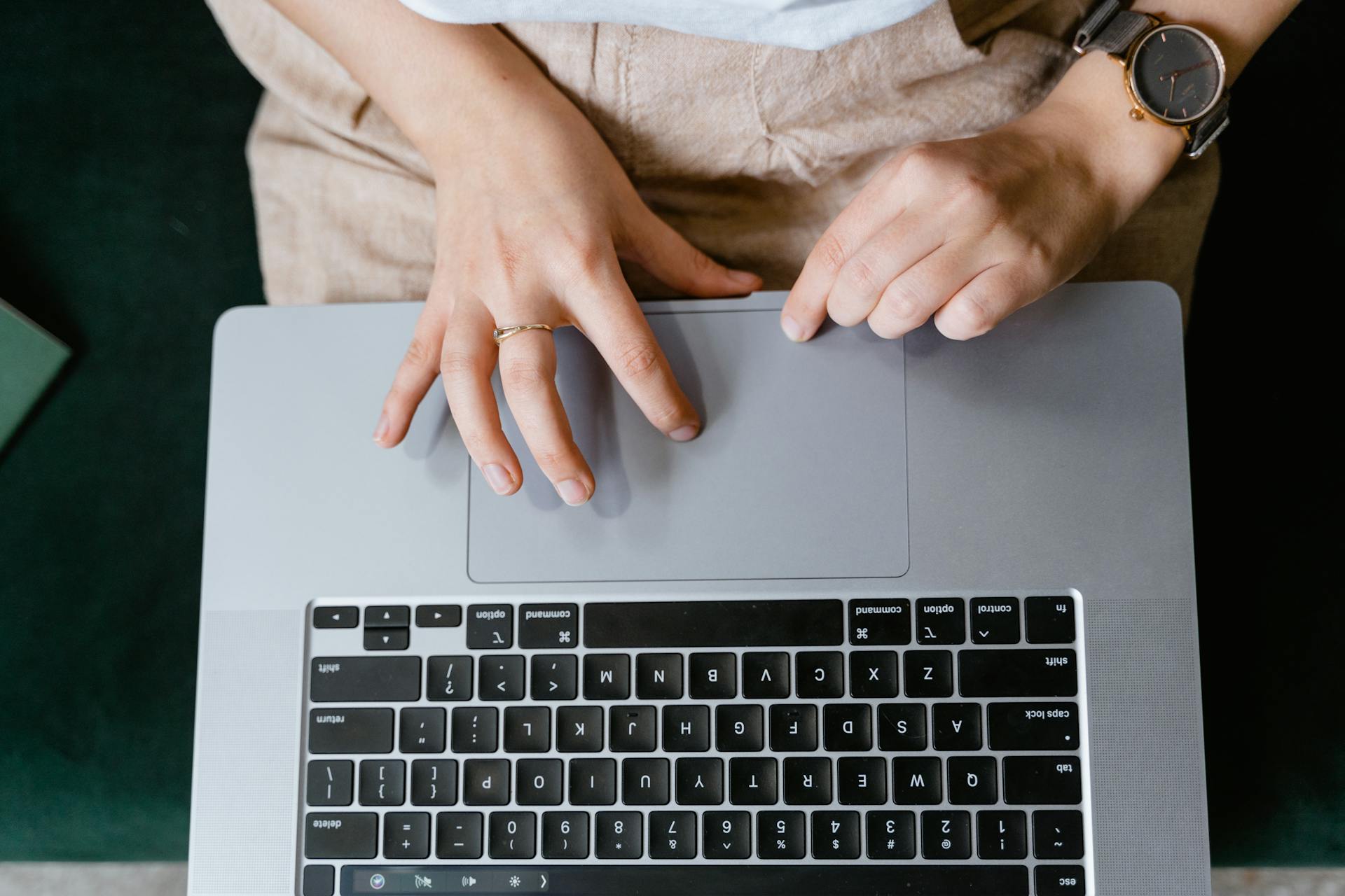 Person Using a Laptop