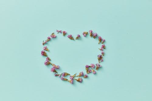 Overhead Shot of Flowers Forming a Heart Shape