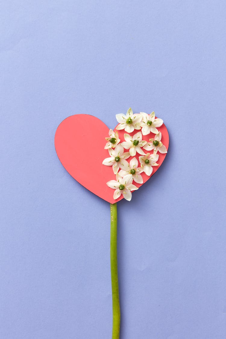 Flower With Paper Heart