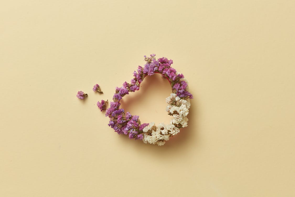 Heart Shape from Flowers · Free Stock Photo