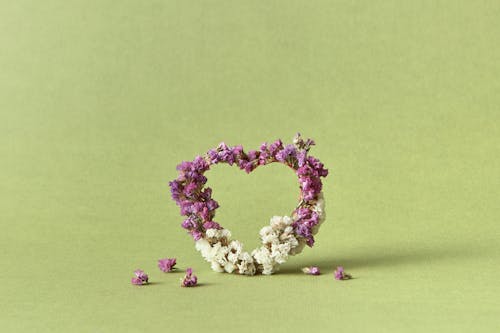Gratis stockfoto met bloemen, groen oppervlak, hart Stockfoto