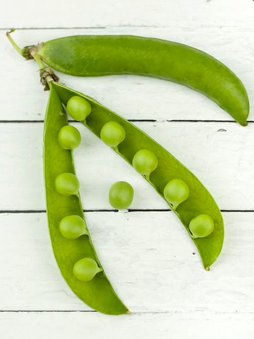 白色表面上的綠豌豆植物
