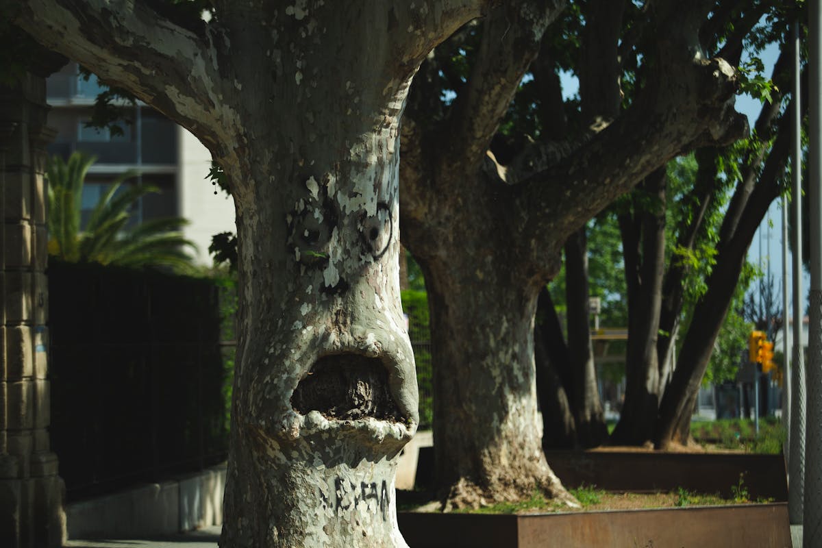 Healthy grain bowl with beans, vegetables, and seeds arranged in a colorful pattern