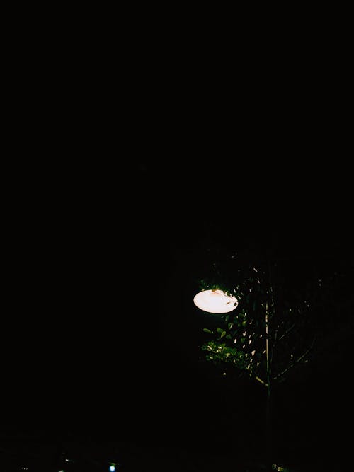 가벼운, 램프, 밤의 무료 스톡 사진