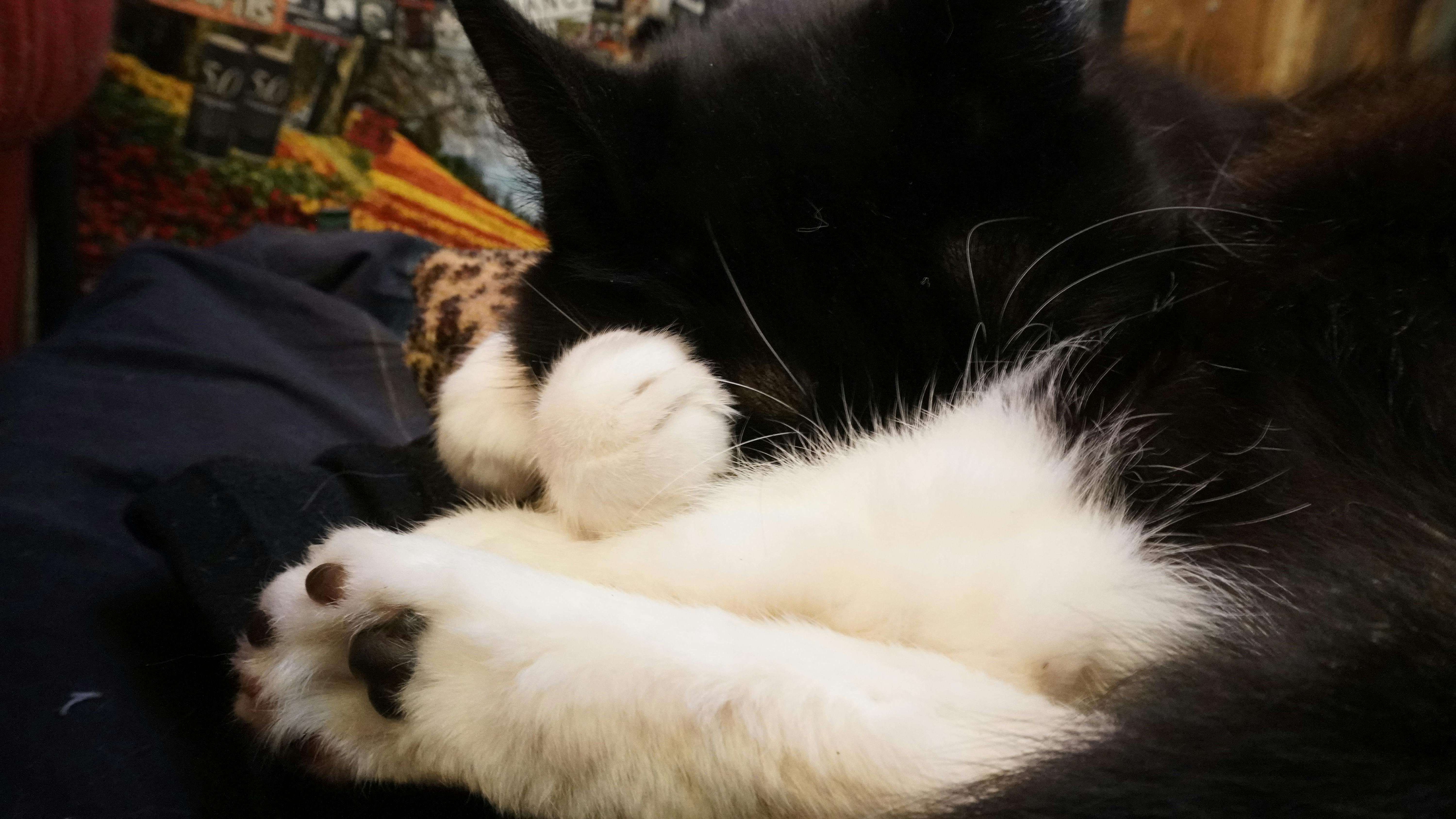 Practical step-by-step mutual fund investment plan for beginners 2025