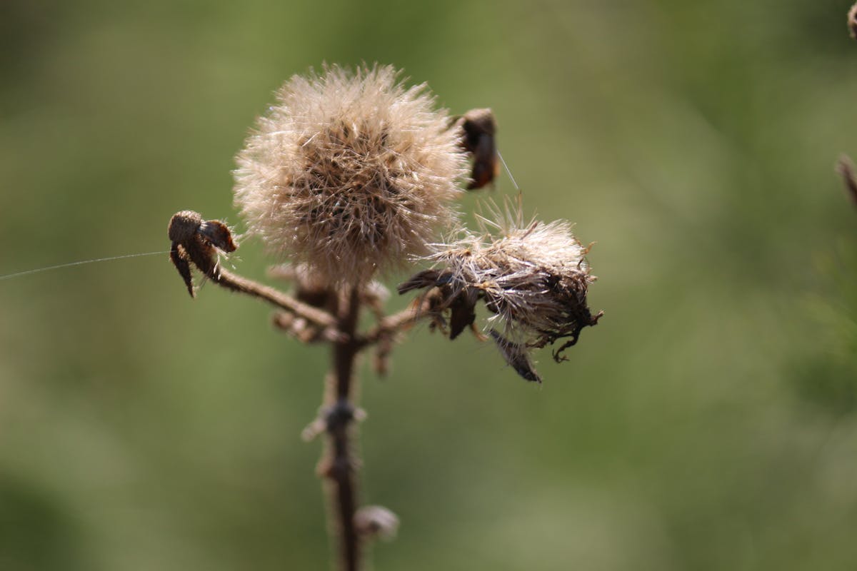 Investor using a fintech investing app on smartphone