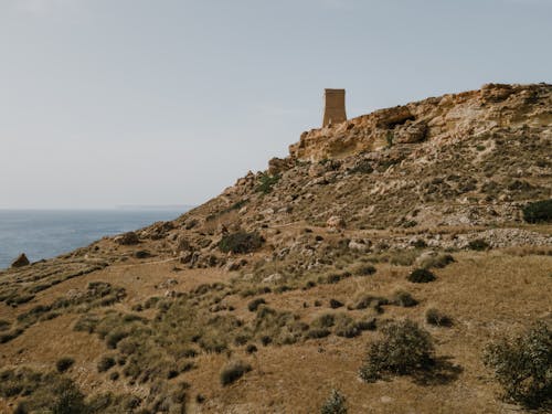 Immagine gratuita di ambiente, campagna, campo d'erba