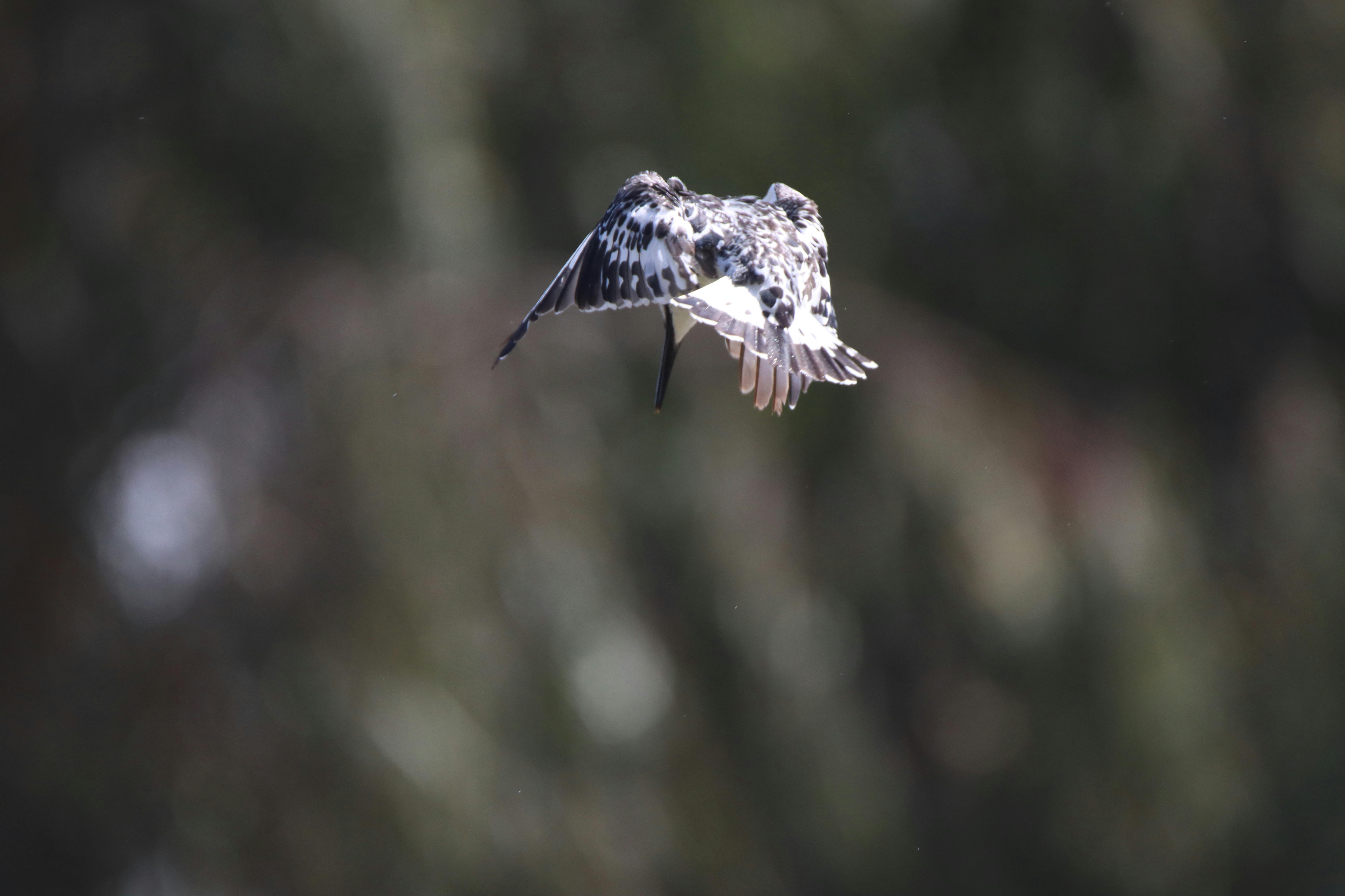 Nigerian entrepreneur in Warri reviewing financial documents and calculating business expenses on a smartphone