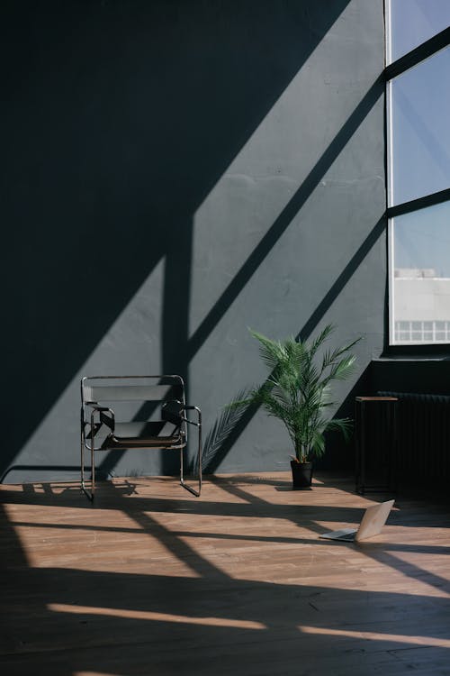 Photo of a Chair Near a Houseplant in a Room