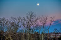 马里兰州大马士革的冬季森林在月光下景色迷人，光秃秃的树木映衬着色彩缤纷的暮光天空