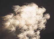 夜空中，明亮的烟花创造出耀眼的图案