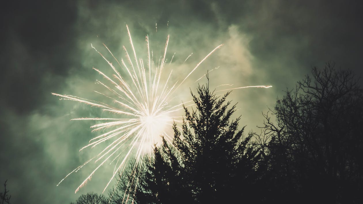 Feu D'artifice Au Dessus Des Arbres