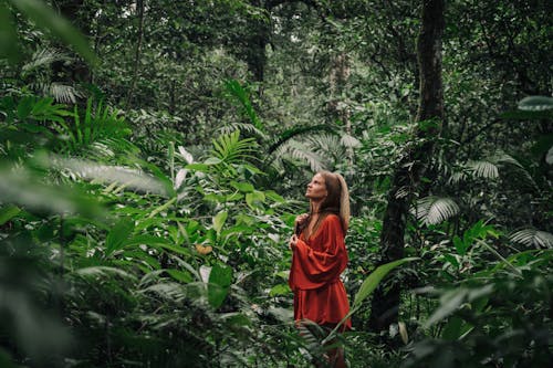 Gratis lagerfoto af grønne planter, jungle, kvinde