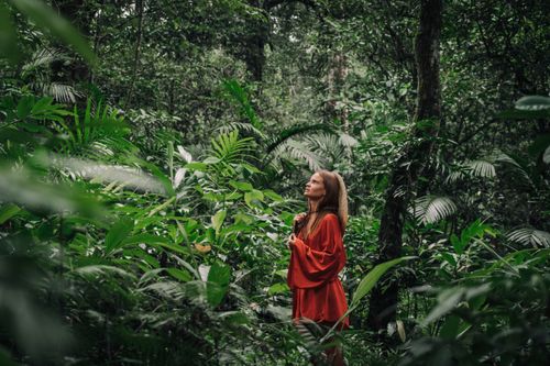 Free A woman in a red dress stands amidst vibrant green jungle foliage, looking upwards. Stock Photo