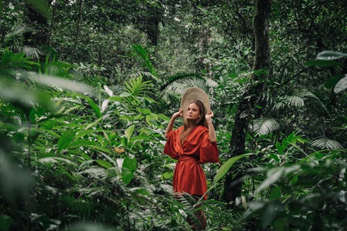 Základová fotografie zdarma na téma červené šaty, džungle, kavkazská žena