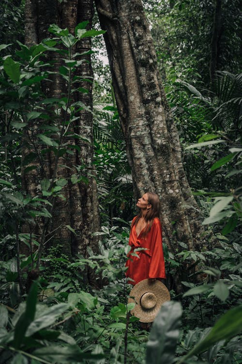 Free Woman in Red Dress Standing Under a Forest Tree Stock Photo