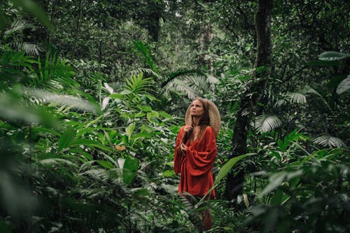 Woman in Red Dress Standing in the Middle of the Rainforest