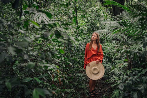 Foto stok gratis alam, di luar rumah, gaun merah