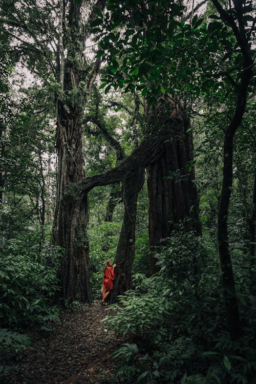 Free Woman in Red Dress Standing in the Middle of the Rainforest Stock Photo