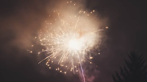 Kostenlos Feuerwerk Während Der Nacht Stock-Foto