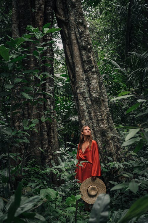 A woman In Red Dress Standing Under a Tree