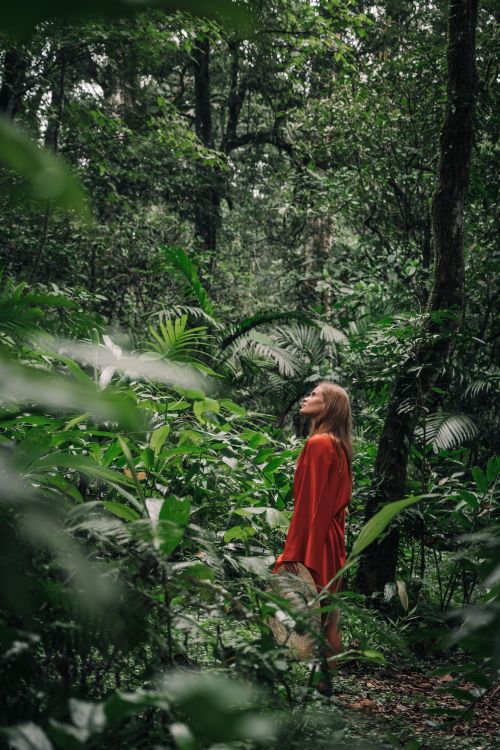 Free A woman in a red dress gazing upwards amidst a vibrant, lush tropical jungle setting. Stock Photo