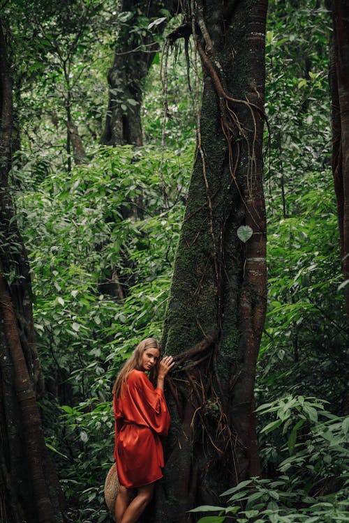 Foto stok gratis alam, condong, daun-daun hijau