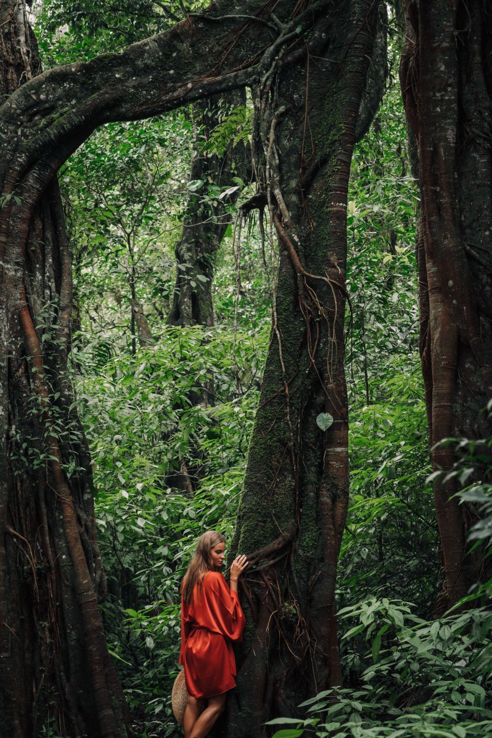 A Woman in Red Robe Standing Beside the Tree · Free Stock Photo