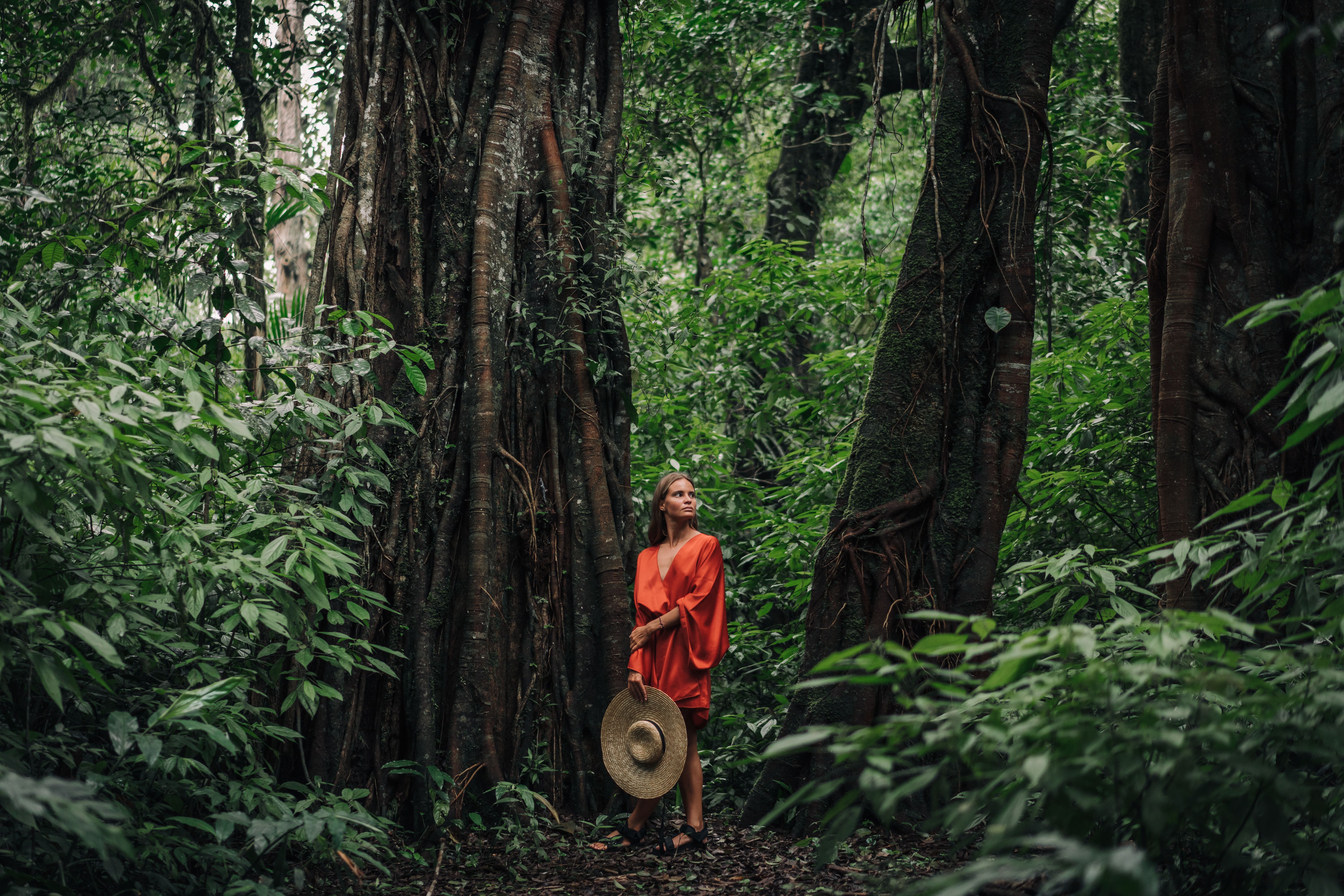 Woman in Red Dress Walking in the Jungle  Free Stock Photo