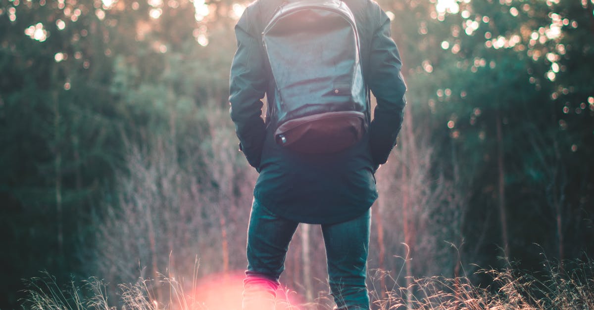 Free stock photo of 80mm, backpack, bokeh