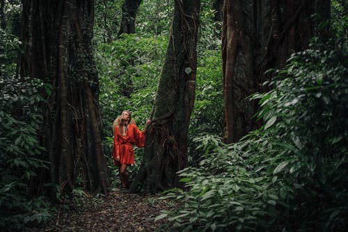 Gratis stockfoto met aantrekkelijk mooi, alleen, bomen