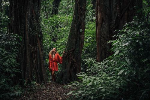 Free Woman standing amidst towering trees in a lush green forest, wearing a striking red dress. Stock Photo