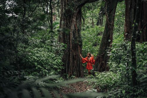 Free A woman in a vibrant red dress explores a tropical jungle surrounded by lush greenery. Stock Photo