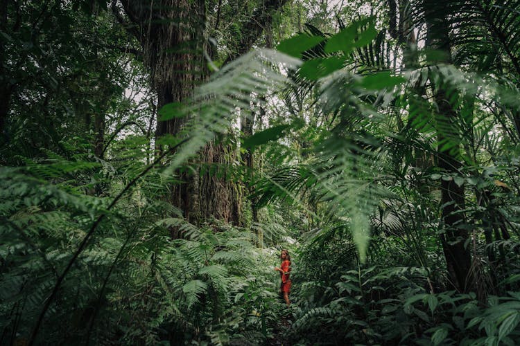 Pretty Woman Standing In The Jungle