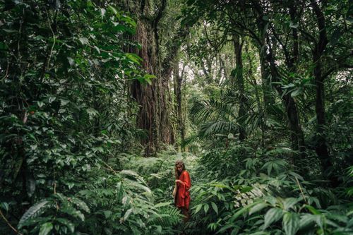 Free A woman in red walks through a lush tropical jungle, surrounded by green vegetation. Stock Photo