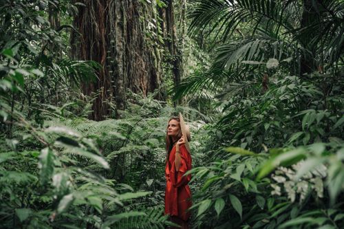 Free A woman in a red dress explores a lush tropical jungle, surrounded by towering trees and greenery. Stock Photo