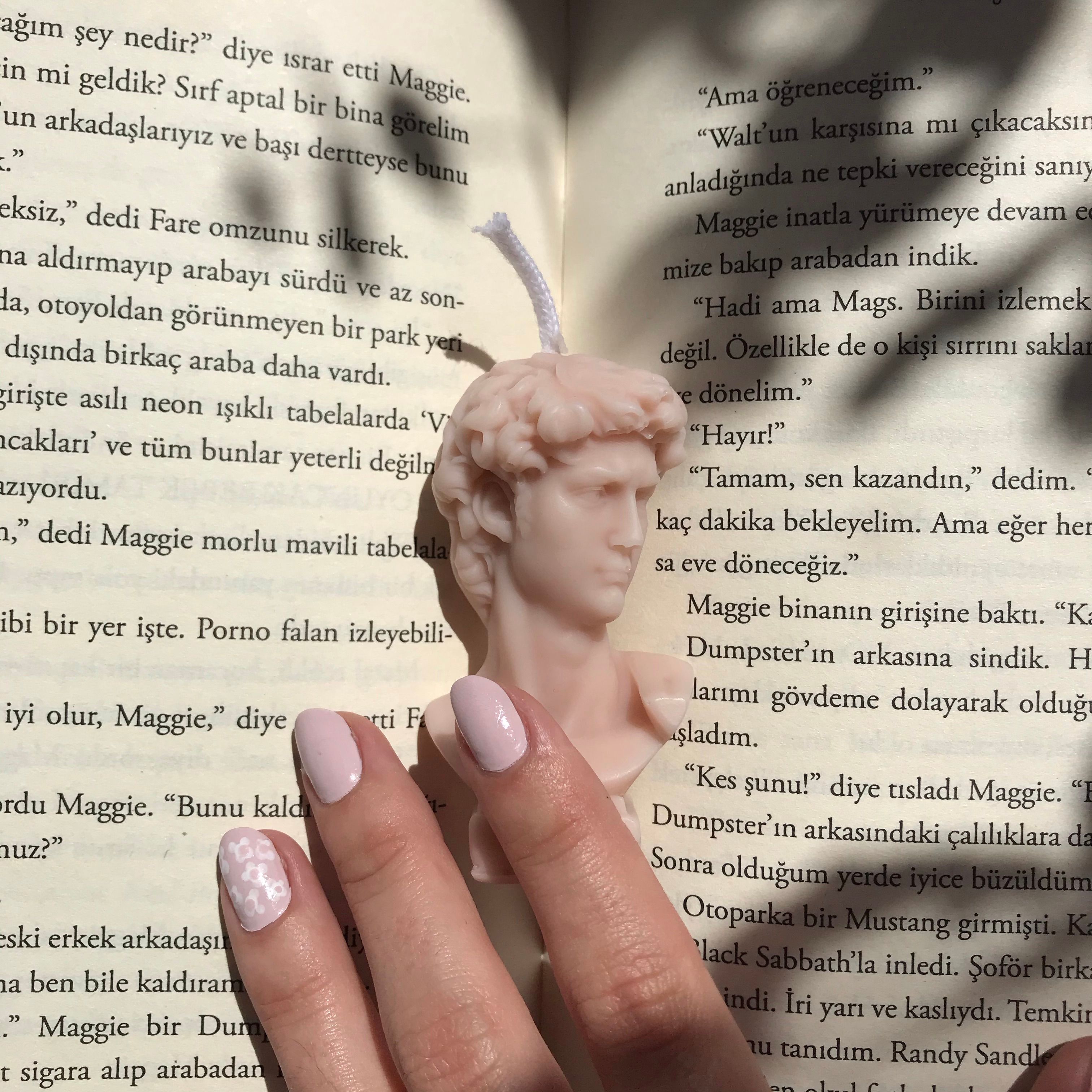 Book 3
