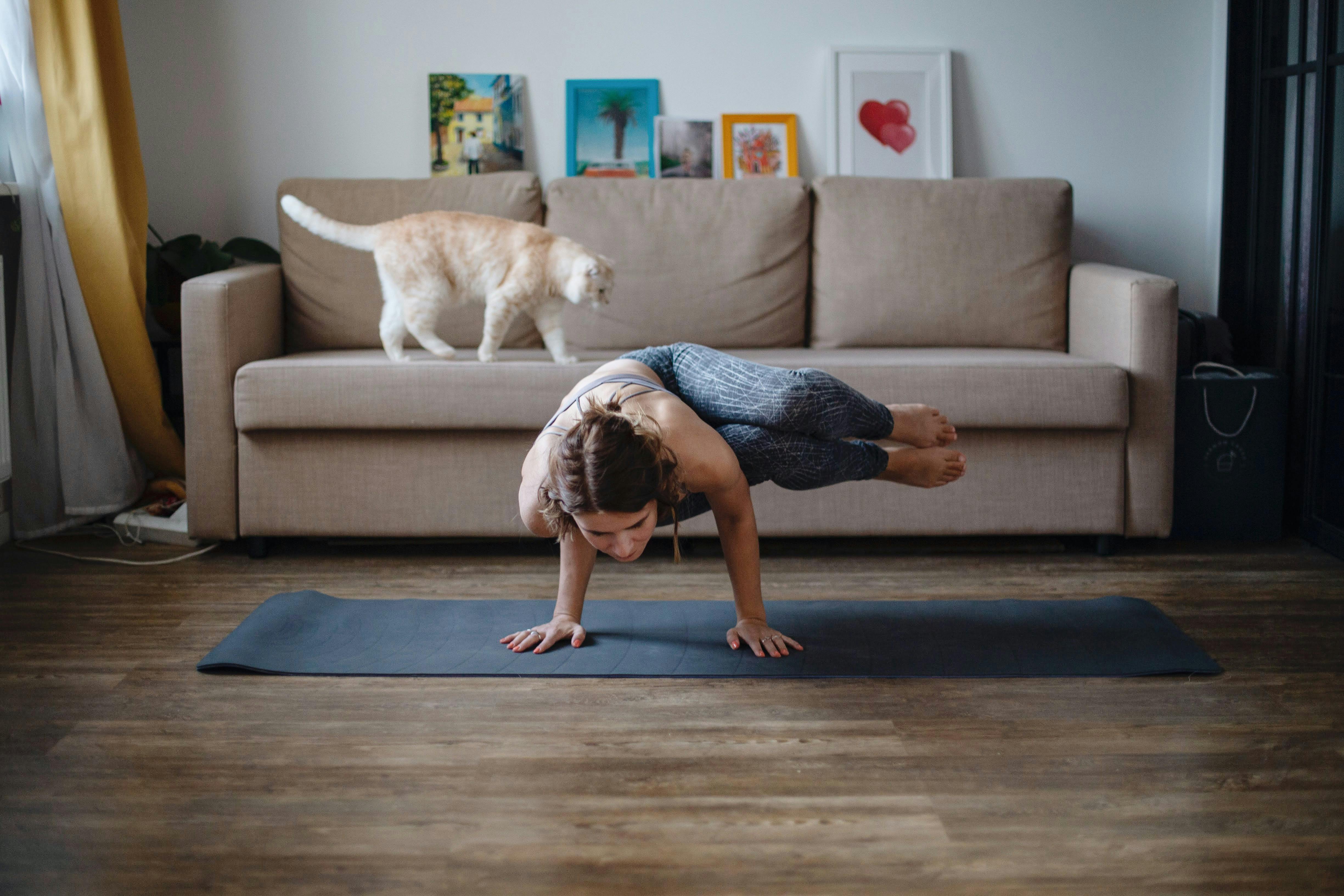 Cats On Yoga Photos, Download The BEST Free Cats On Yoga Stock Photos ...