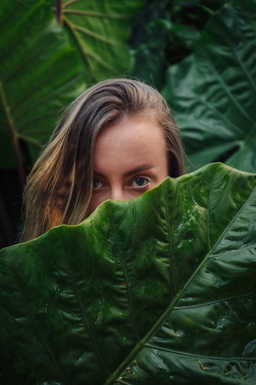 Free A woman with blond hair peeks from behind green foliage, creating a playful, natural scene. Stock Photo