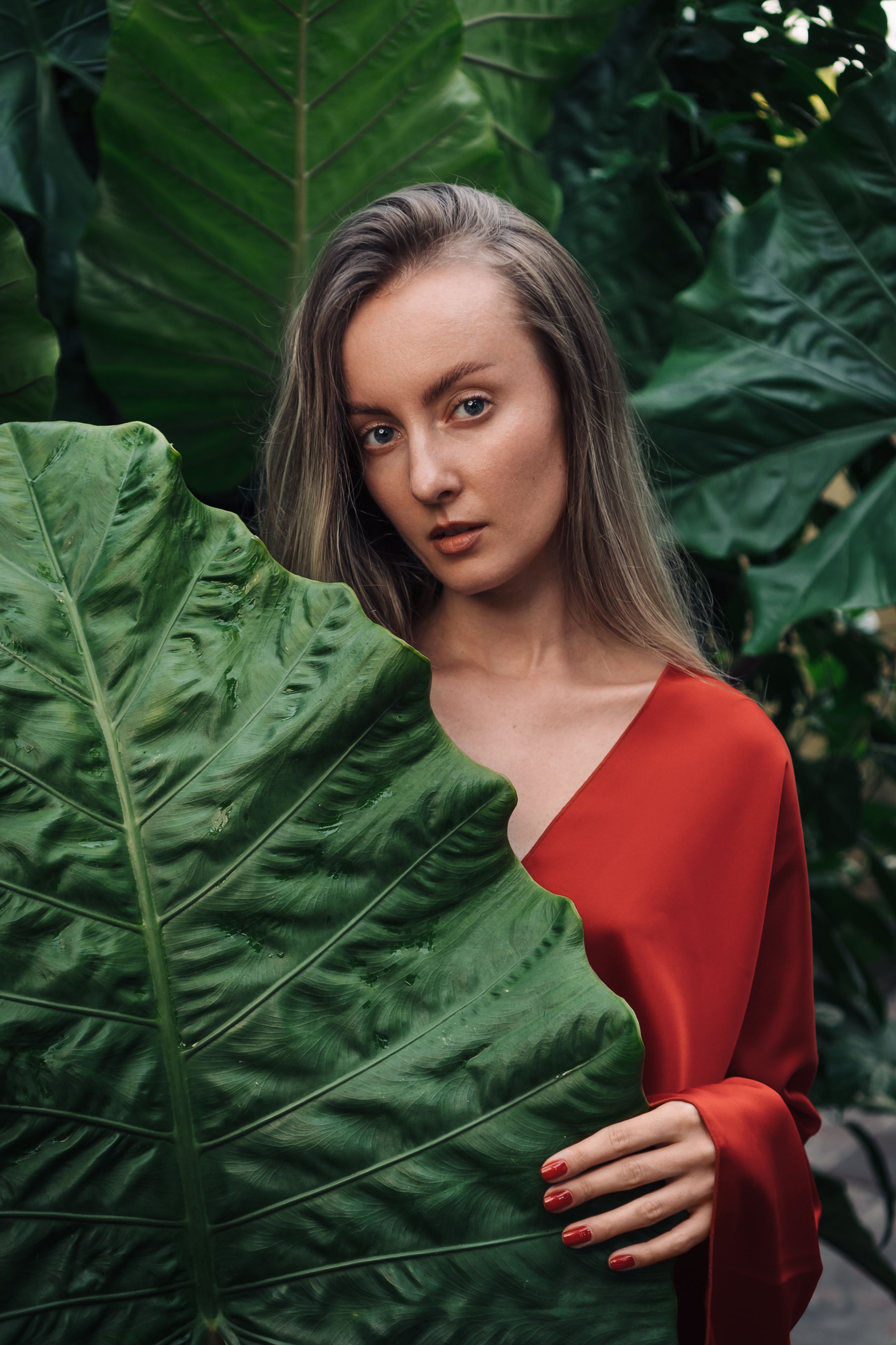 A Woman in Red Dress Holding Green Leaf · Free Stock Photo