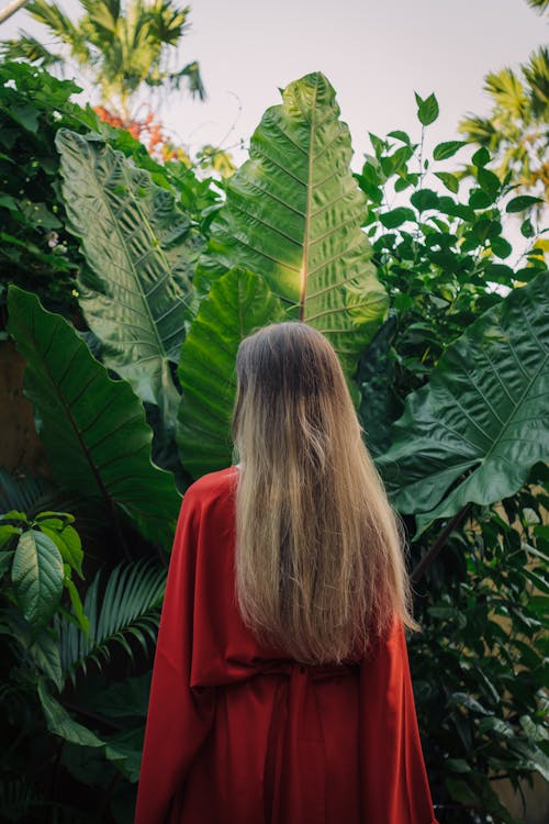 Woman Wearing Red Dress Standing Beside Wild Plant