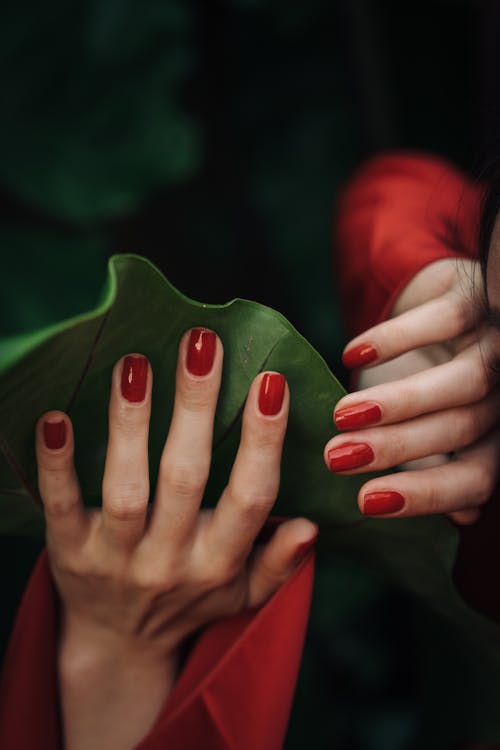 Close-Up Photo of Person With Red Manicured Nails Touching a Green Leaf