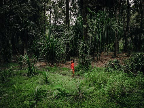 A Woman Standing in the Middle of the Rainforest