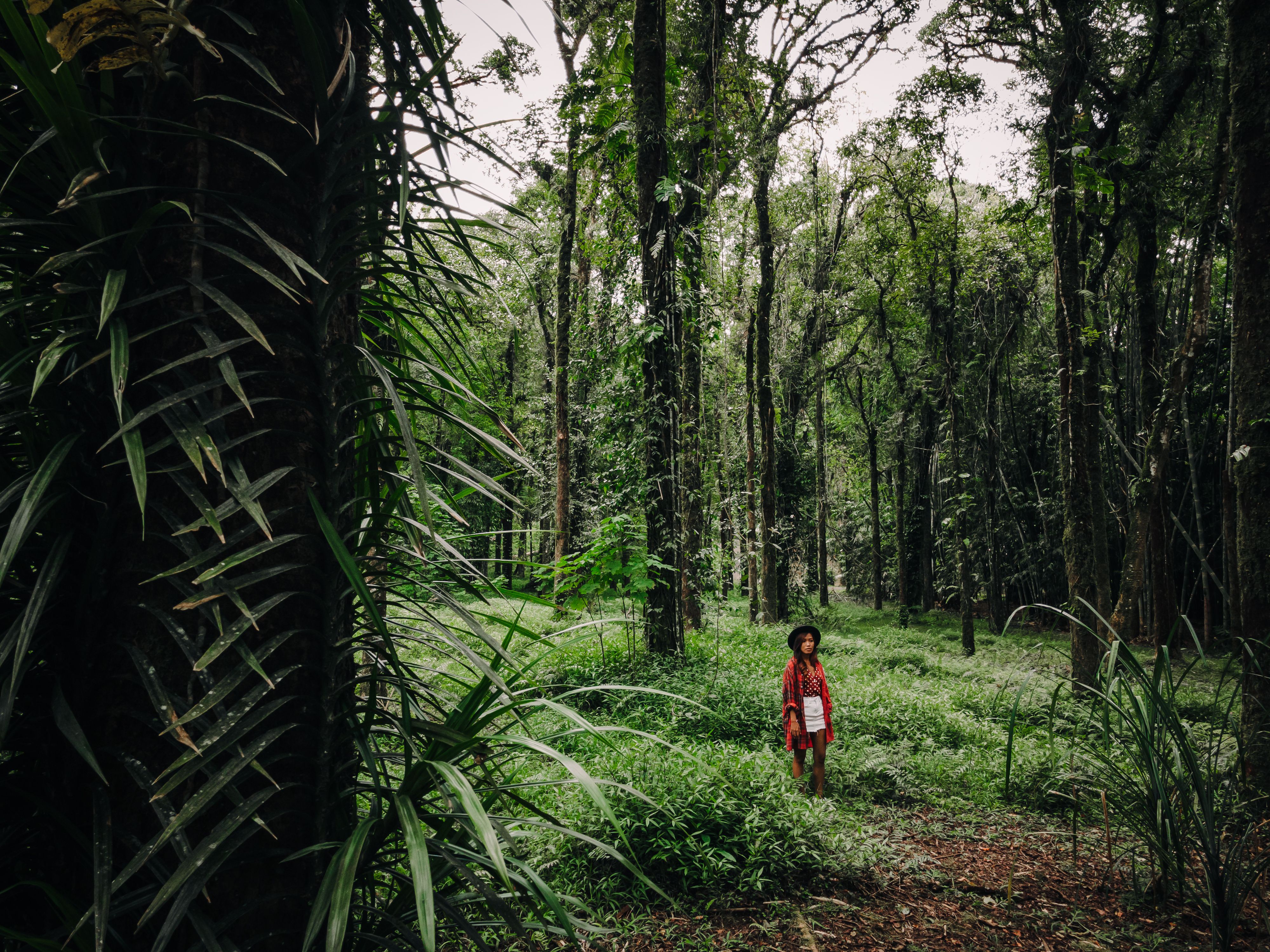 Écotourisme et guide nature au parc Masoala