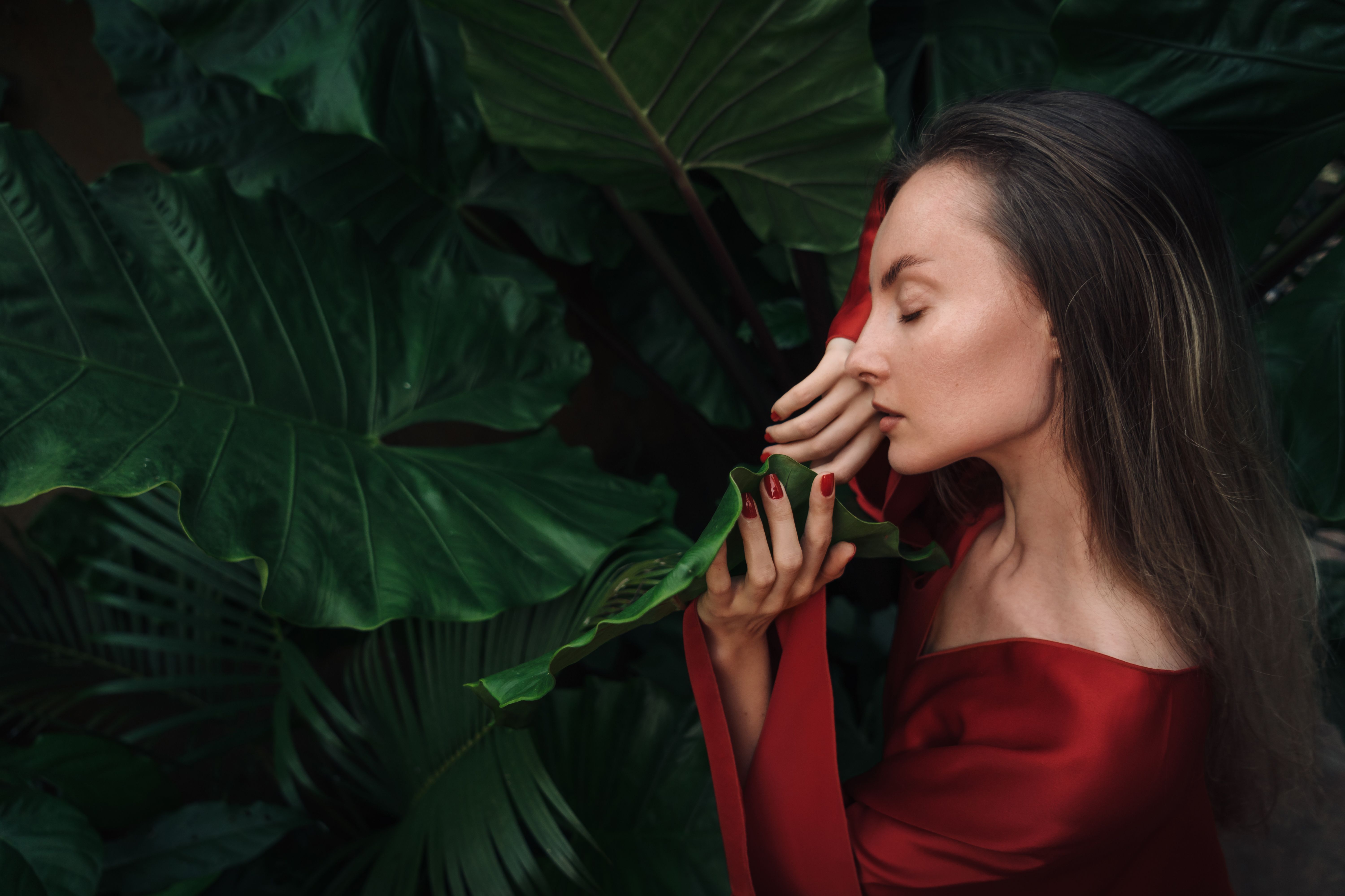 A Woman in Red Dress Holding Green Plant · Free Stock Photo