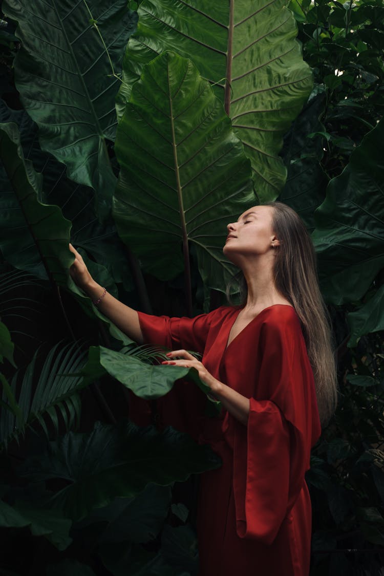 Woman In Red Robe Holding Green Leaves